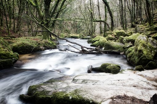 Golitha Falls, Bodmin Moor